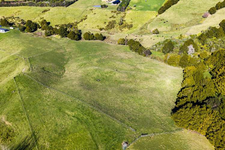 217 Lawrence Road Mangawhai_45