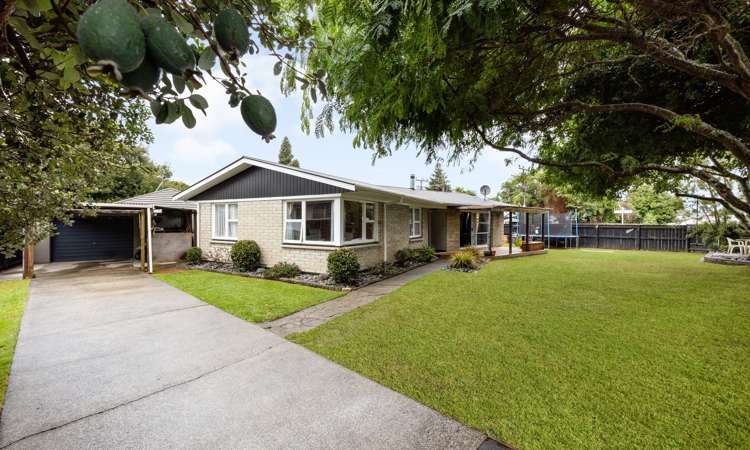 33 Mooney Street Nawton_1