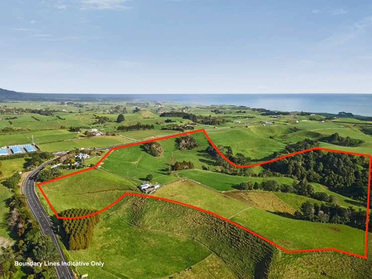 568 South Road Omata_10