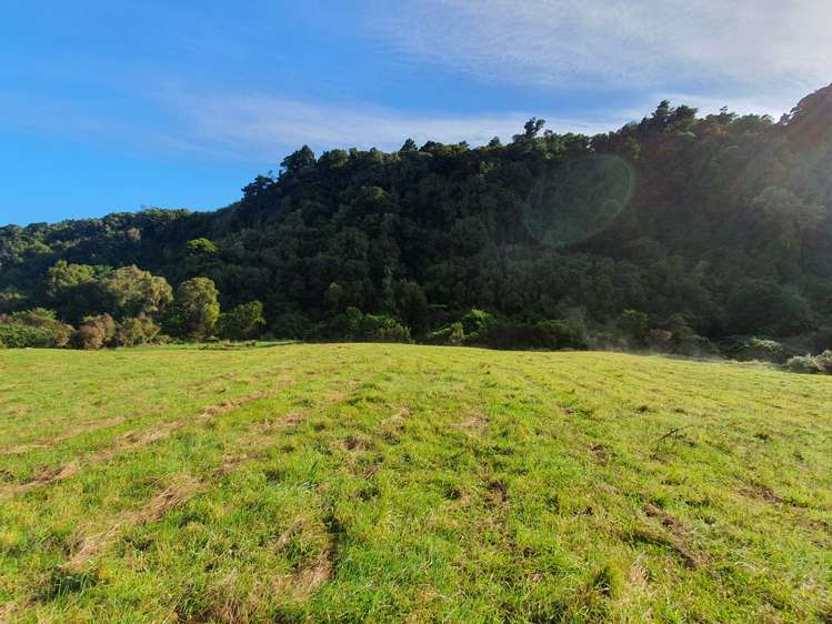 Blue Spur Road Hokitika_5