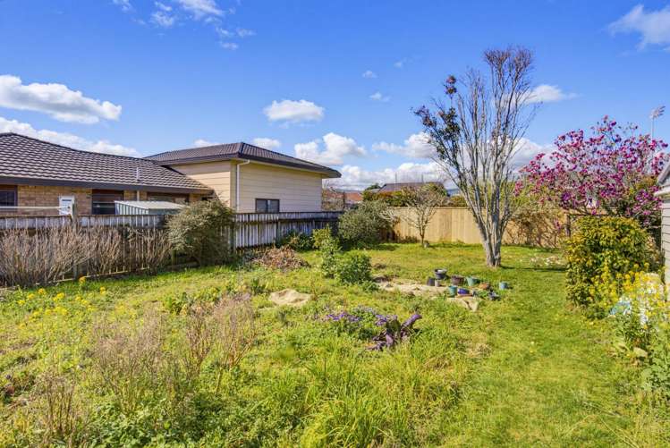 6A Trafalgar Street Levin_26