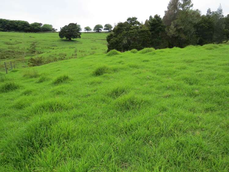 Lot 4 Taylor Road Taipa_15