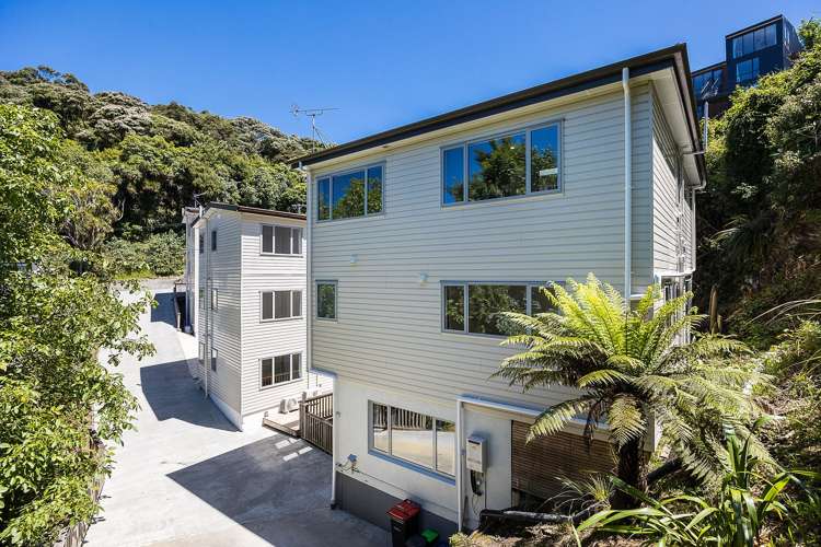 16b Cosy Dell Road North Dunedin_1