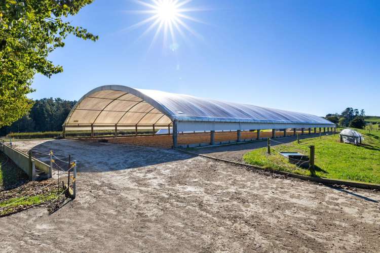 141 Te Mata Road Raglan_44
