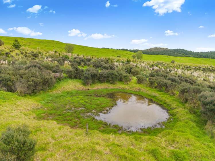 Te Kowhai Road Matakohe_23