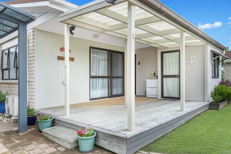 11e Snell Street Morrinsville_13