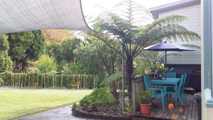 12a Dominion Road Nawton_14