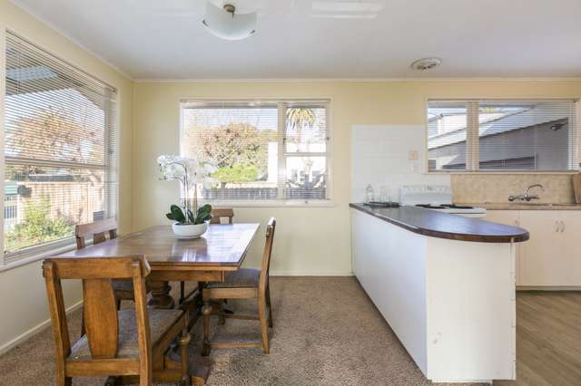 2a Tom Parker Avenue Marewa_4