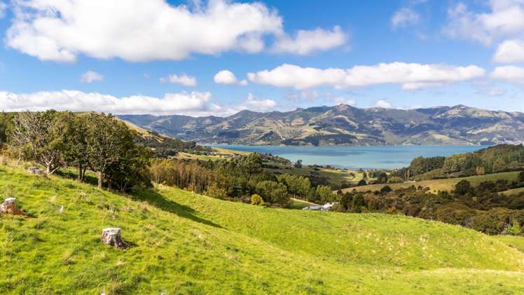 224 Wainui Valley Road Wainui_26