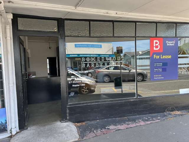 17A Latham Street Napier South_1