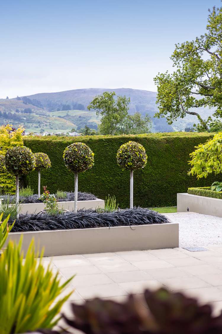 12 Lynn Street Maori Hill_17