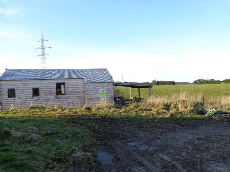 Old Port Road Catlins Surrounds_5