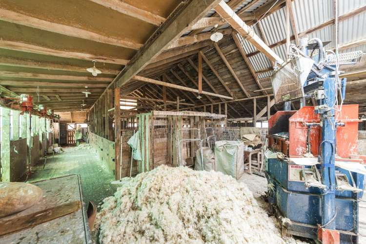 333 Makino Road Feilding_11