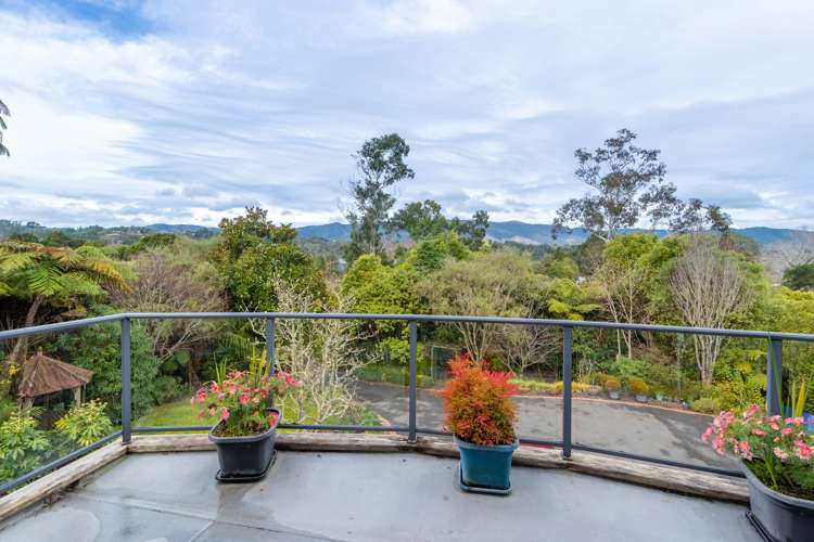 39 Kahikatea Lane Brown Owl_19