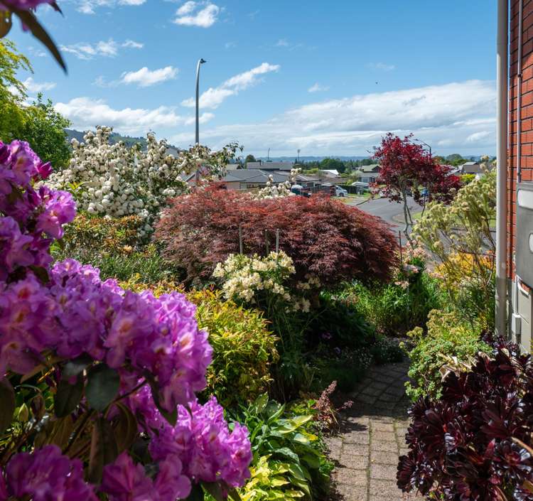 6 Gillam Crescent Springfield_33