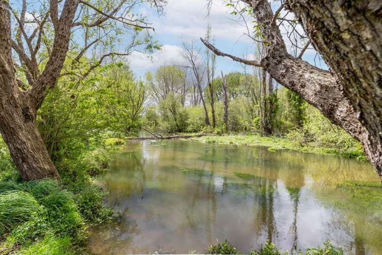 Lot Lot 2/159 Banks Road Matamata_49