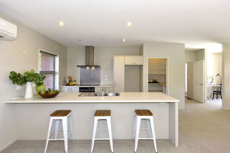 1B Moule Street Addington_9