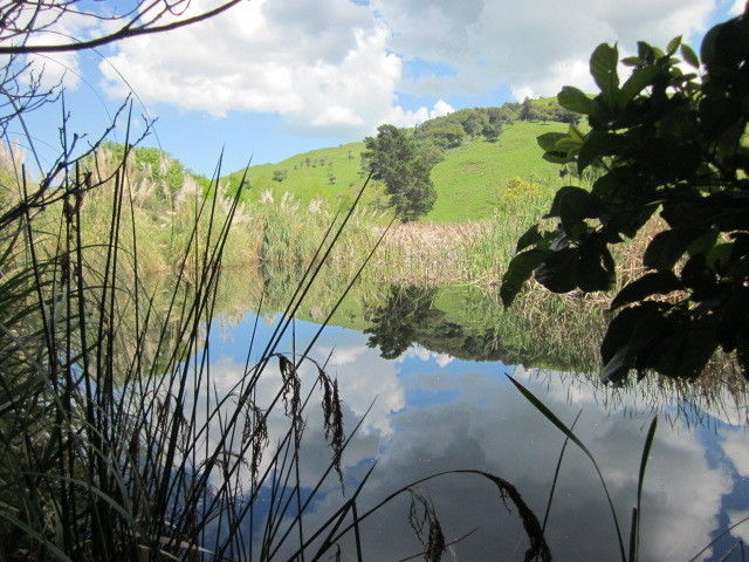 2 Blakes Approach Mahia_3