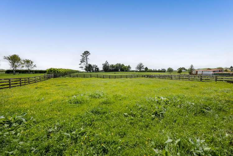 77 Kent Terrace Midhirst_12