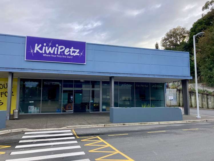 T30A, 223-233 Fraser Street Tauranga South_1