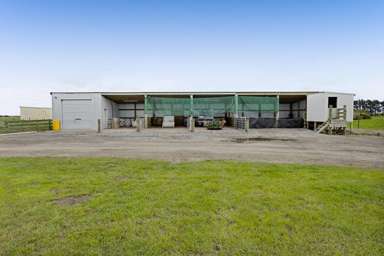 0n Ngarongo Road_2