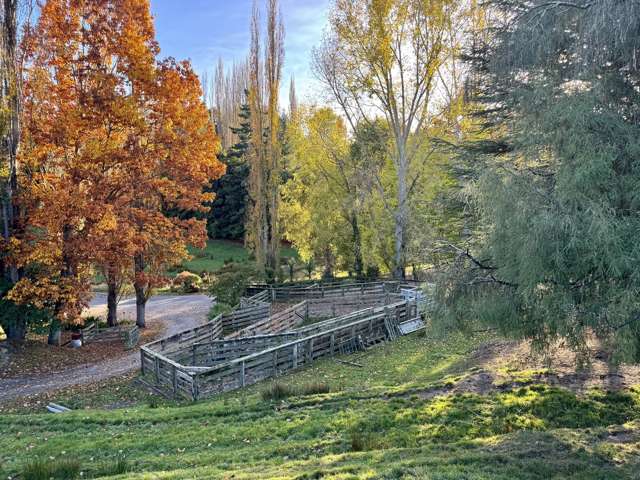 894 Otuarei Road Rangitikei Surrounds_3