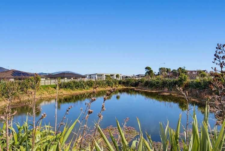 Lot 9 Niu Sila Way Paraparaumu_8