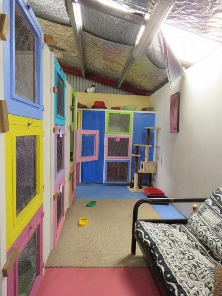 255 Gibbon Road Morrinsville_22