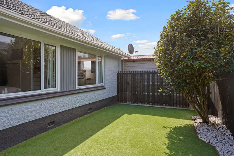 45 Emlyn Place Avondale_11
