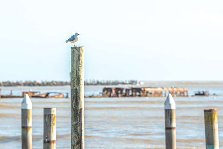 2 Wharf Street Castlecliff_3