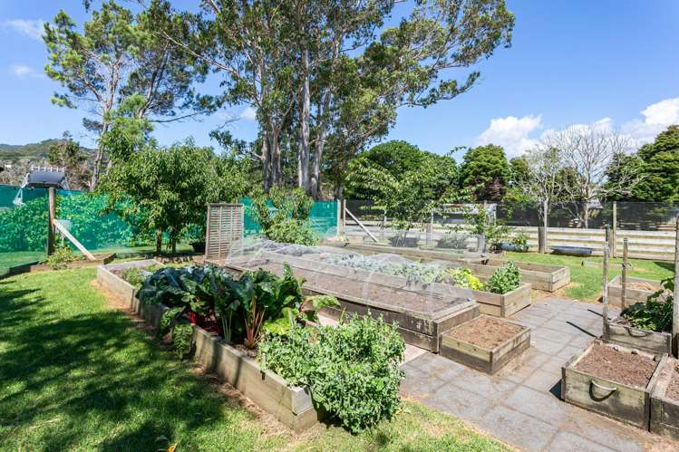 800 Tiki Road, SH25 Coromandel_17