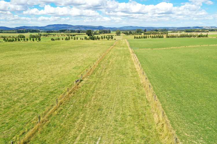 1177 Limehills Browns Road Winton Surrounds_5