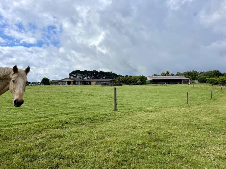 135b Hutchinson Road Helensville_16