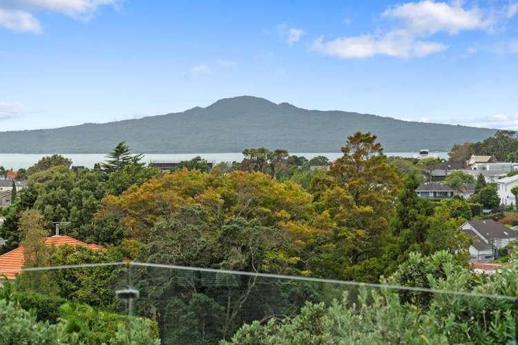 36A Dudley Road Mission Bay_17