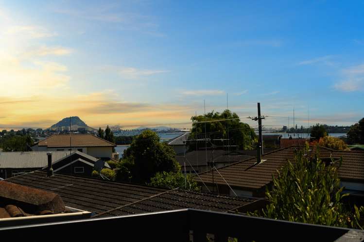 17 Hairini Street Hairini_4