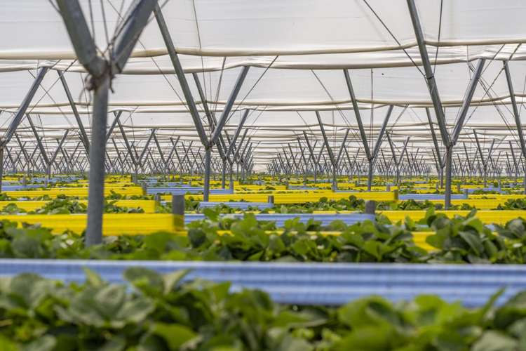 Thurley Place Bay View_8