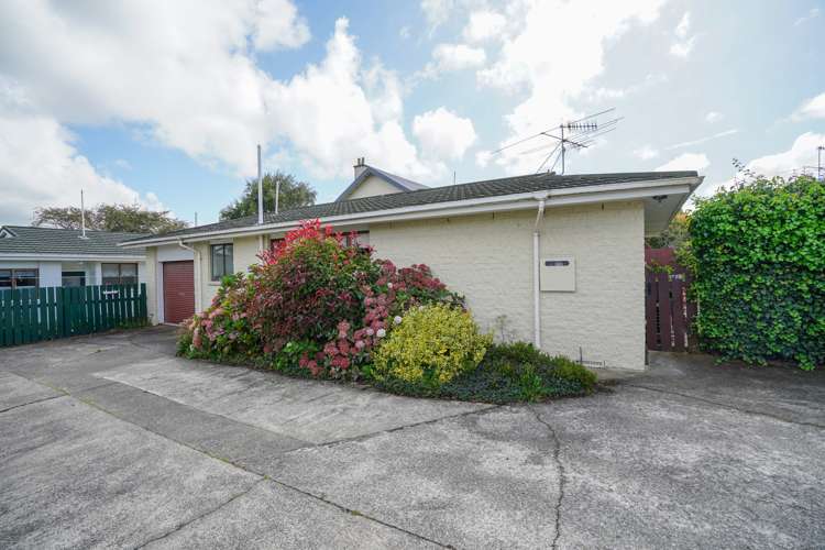 73b Antrim Street Windsor_10