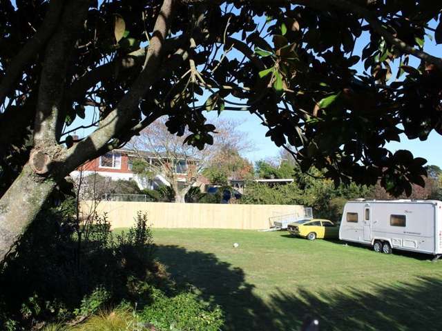 32a Byron Street Miramar_1