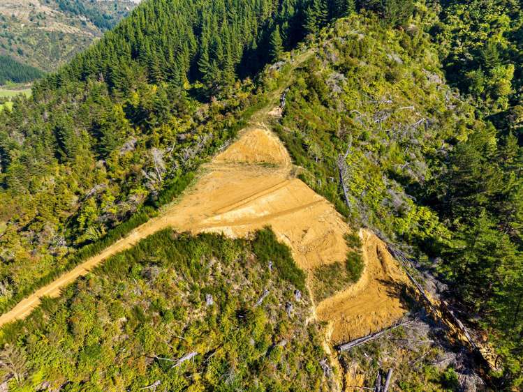 State Highway 6 Havelock_14