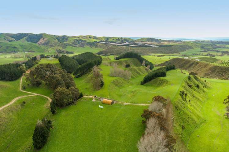 461 Otamarakau Valley Road Pukehina_9