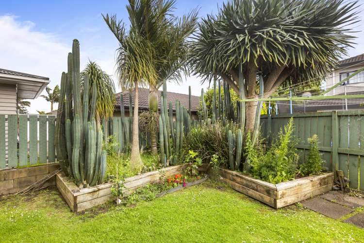 5 Williams Avenue Pakuranga_6