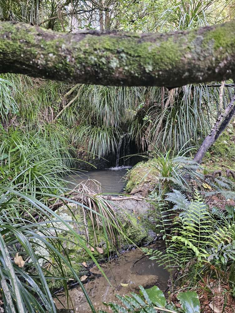 121 Ohawini Road Oakura_36