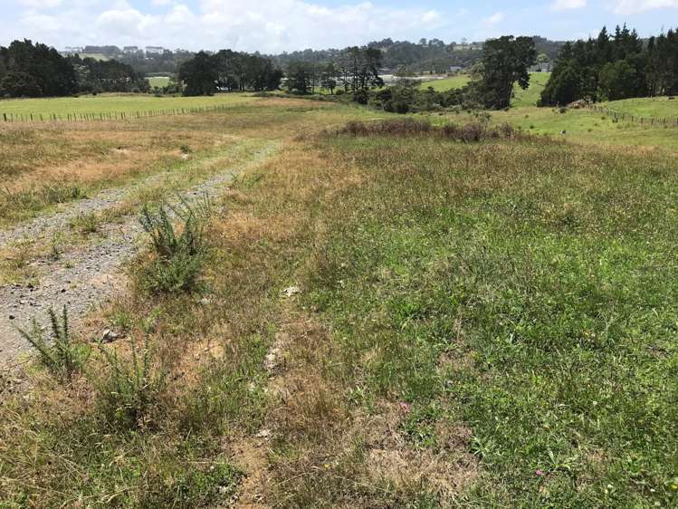 43 Merewhira Road Paremoremo_5