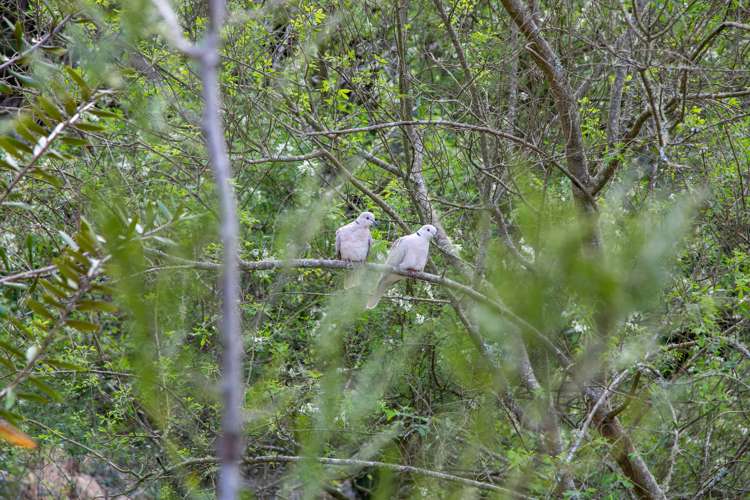 182 Thornton Road Cambridge_21