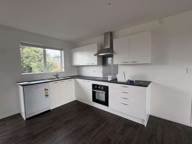 33a Prospect Avenue Tirau_1