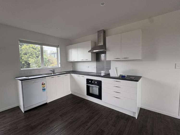 33a Prospect Avenue Tirau_1