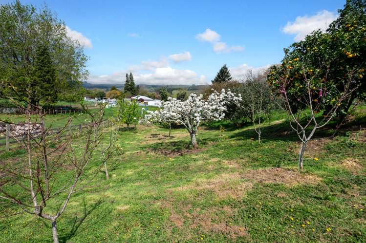357a Clayton Road Pukehangi_4