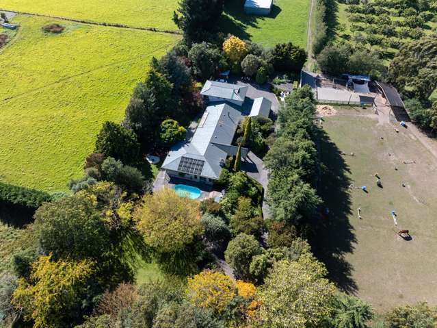 Size Without Limit: A Massive Estate