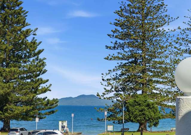 A Front-Row Seat to Browns Bay