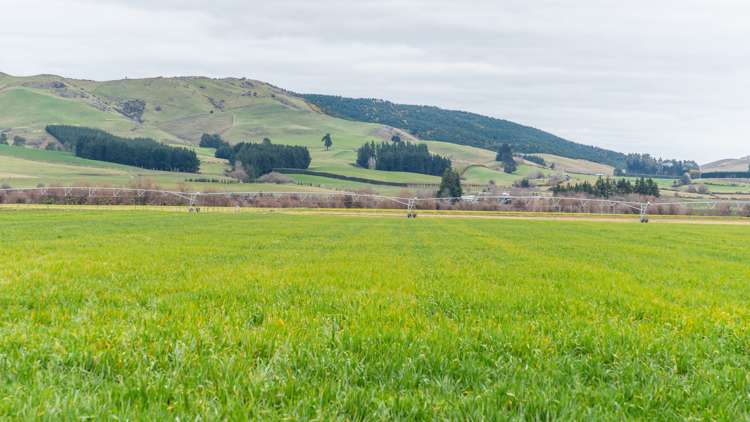 205 Barrs Road Sheffield_7